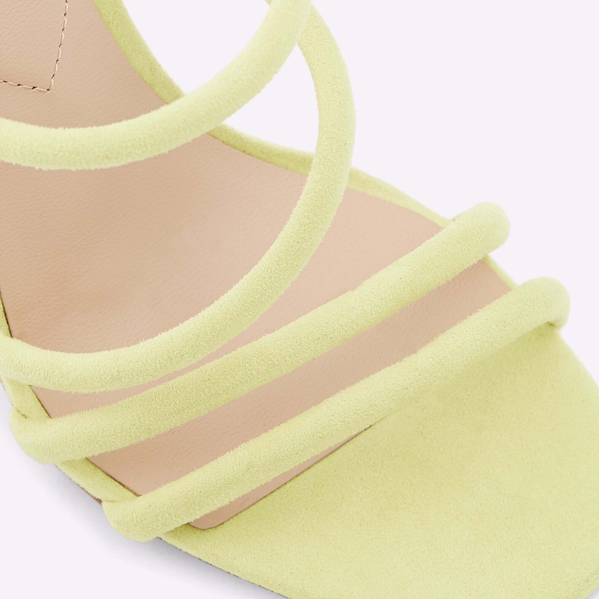 Arianna - Image 7