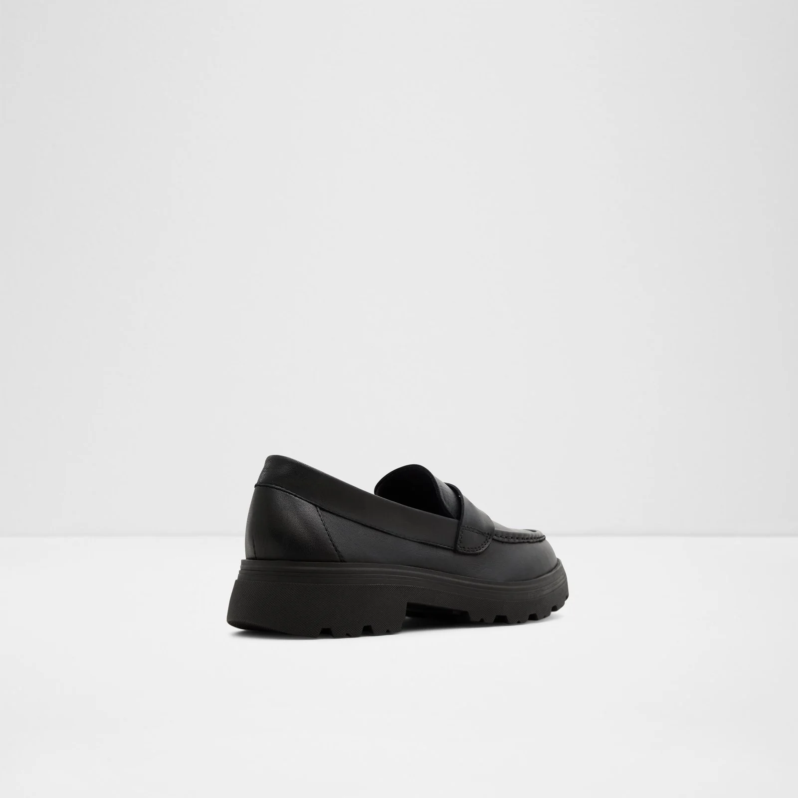 Biglect - Image 3