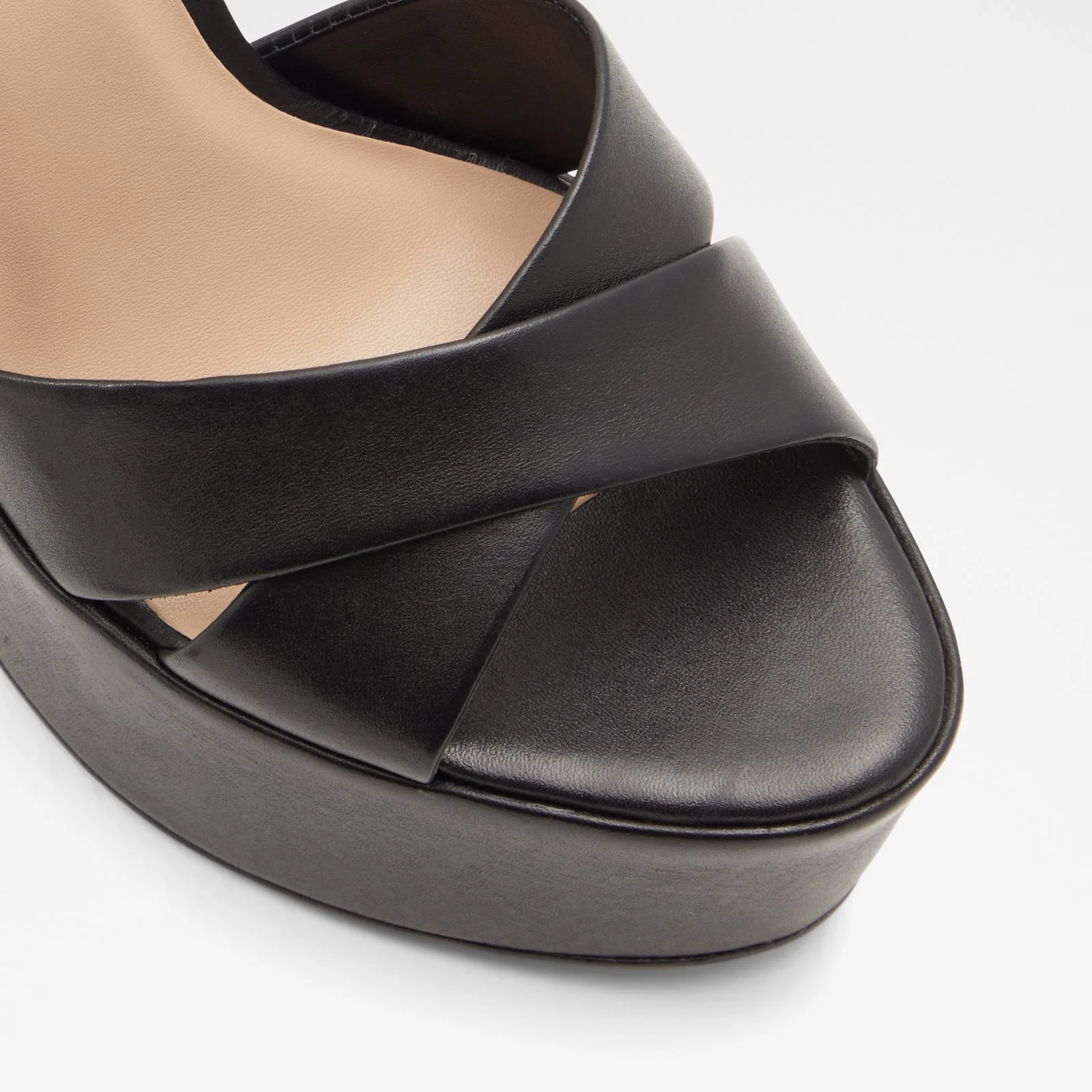 Camelia - Image 6