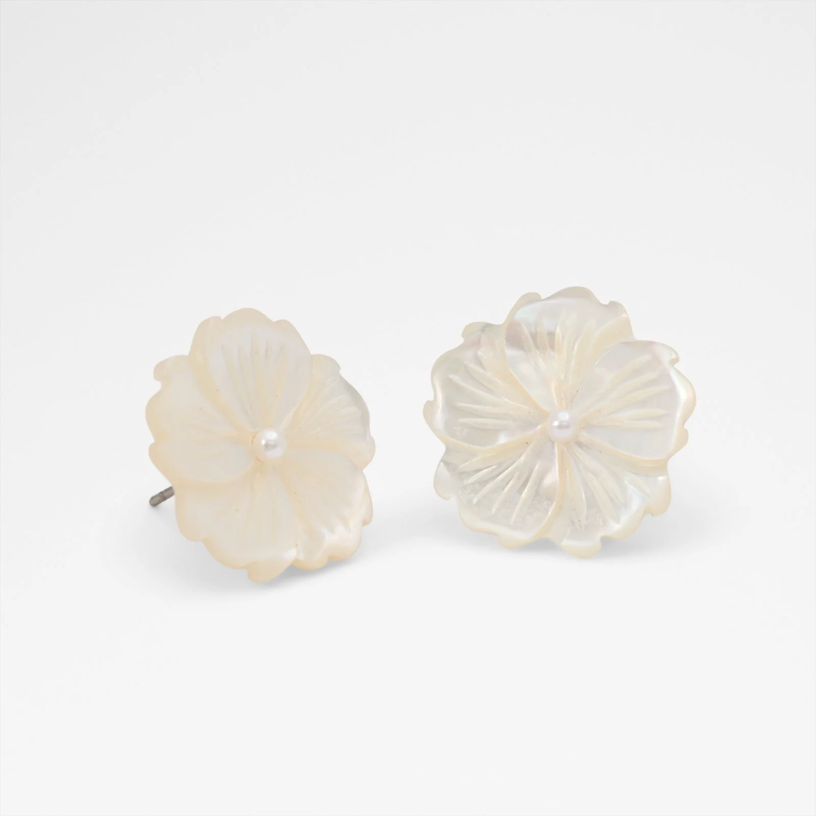 Camelliaa - Image 2