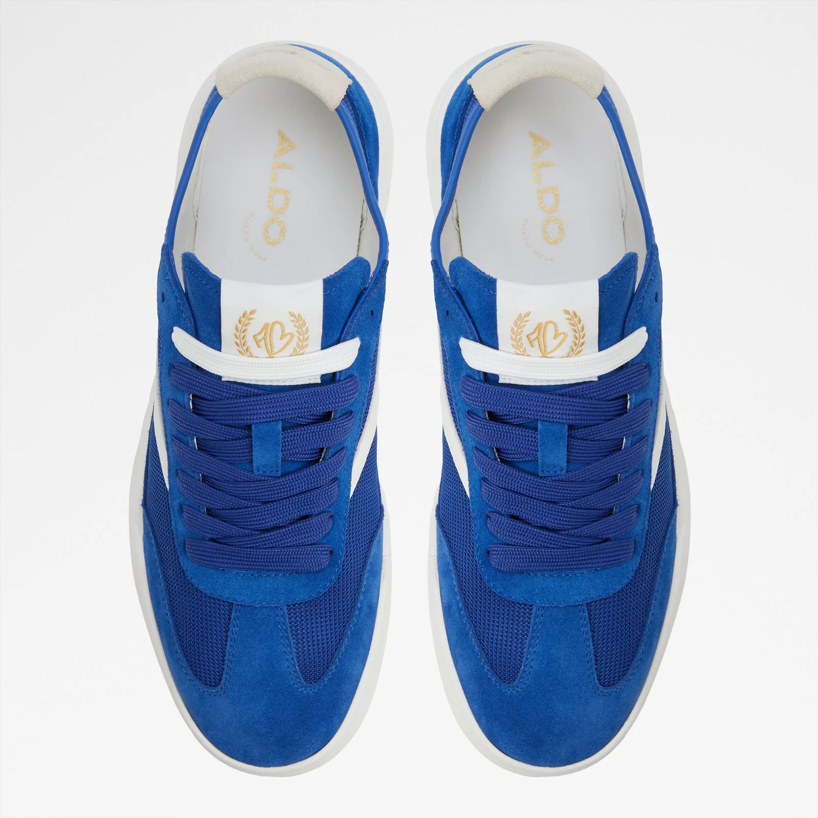 Clubmtl - Image 7