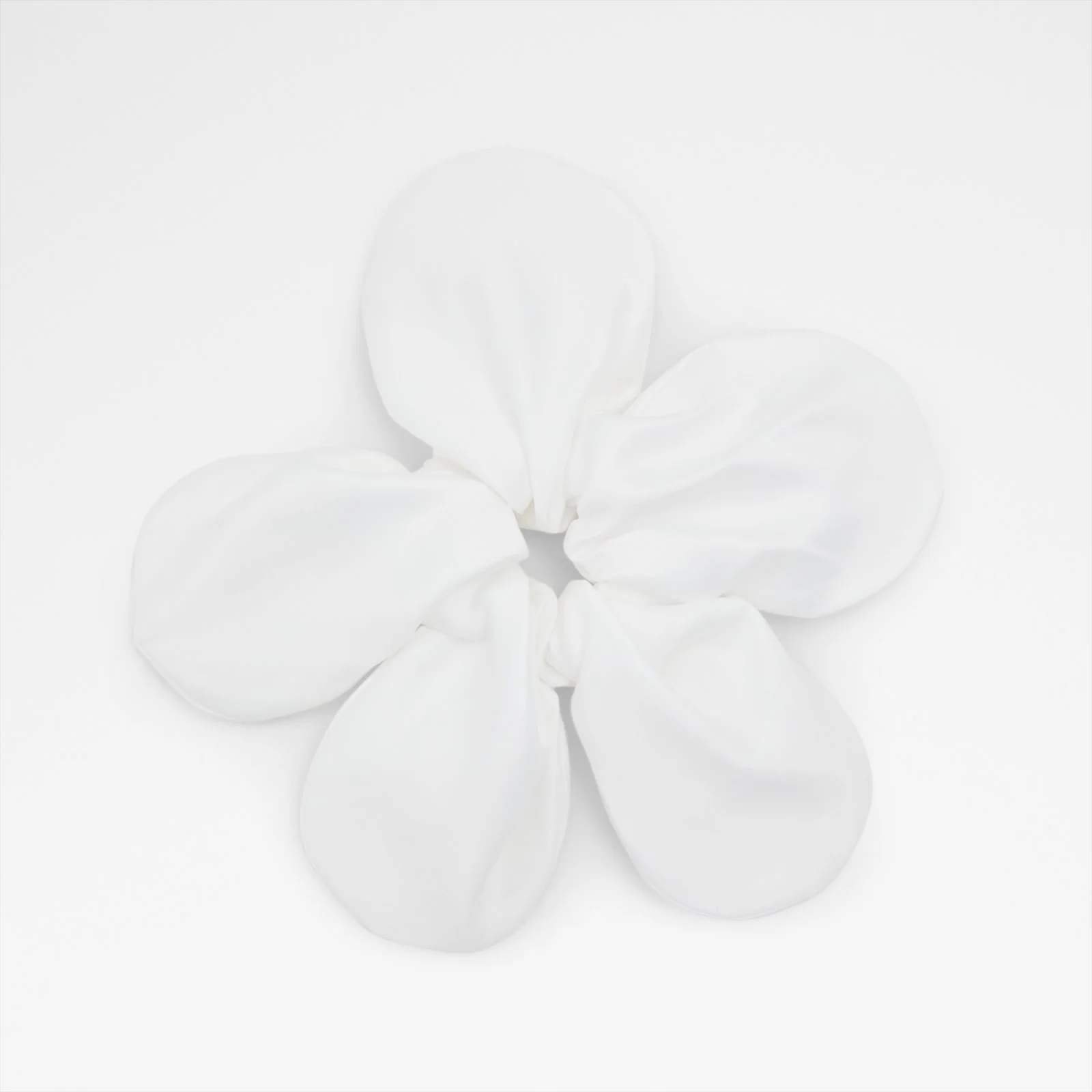 Daisydazzle - Image 2