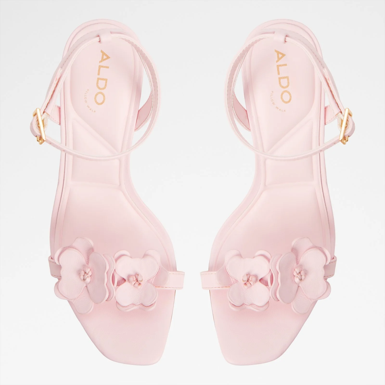 Daisylily - Image 7