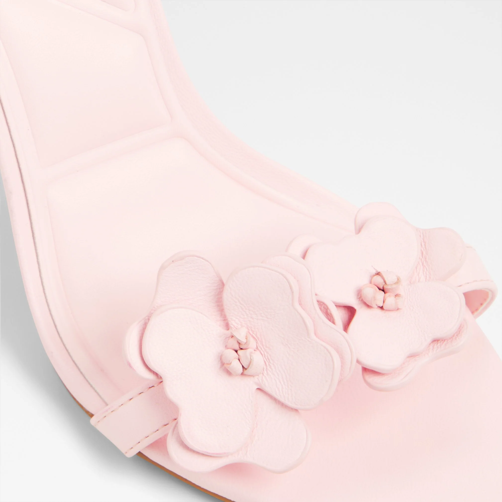 Daisylily - Image 9