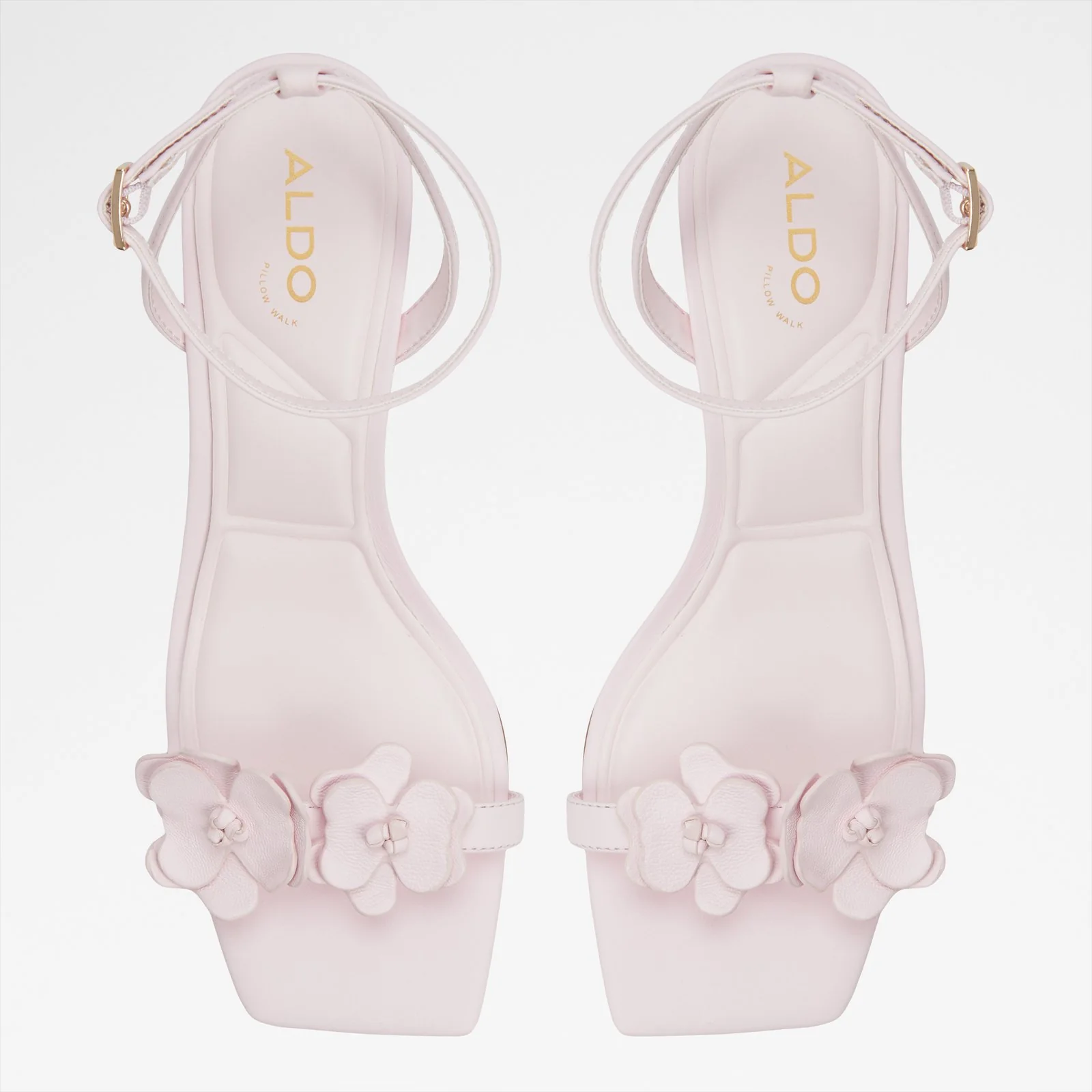 Daisyrose - Image 7