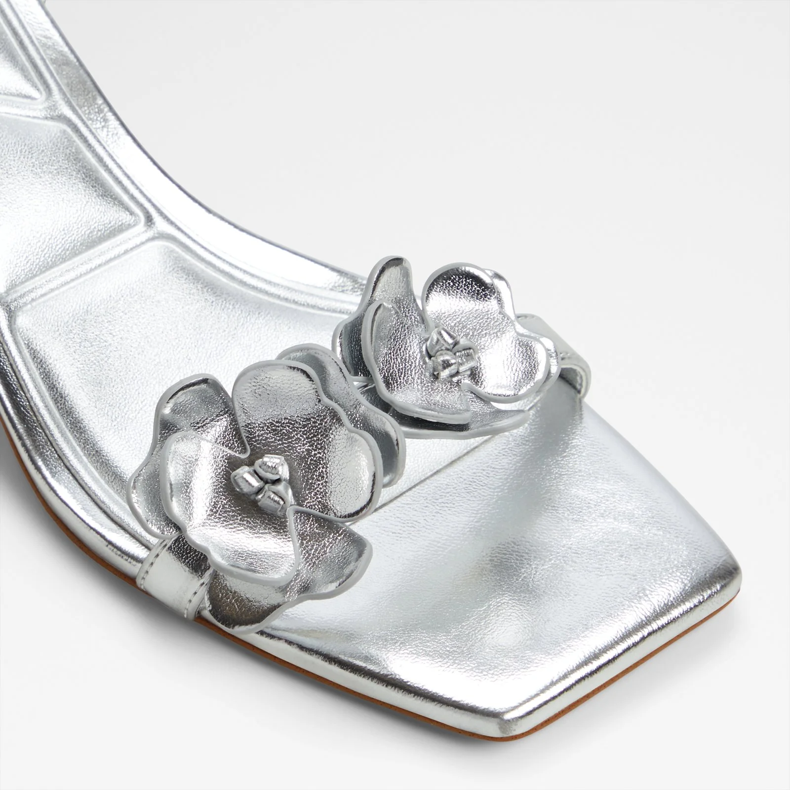 Daisyrose - Image 6