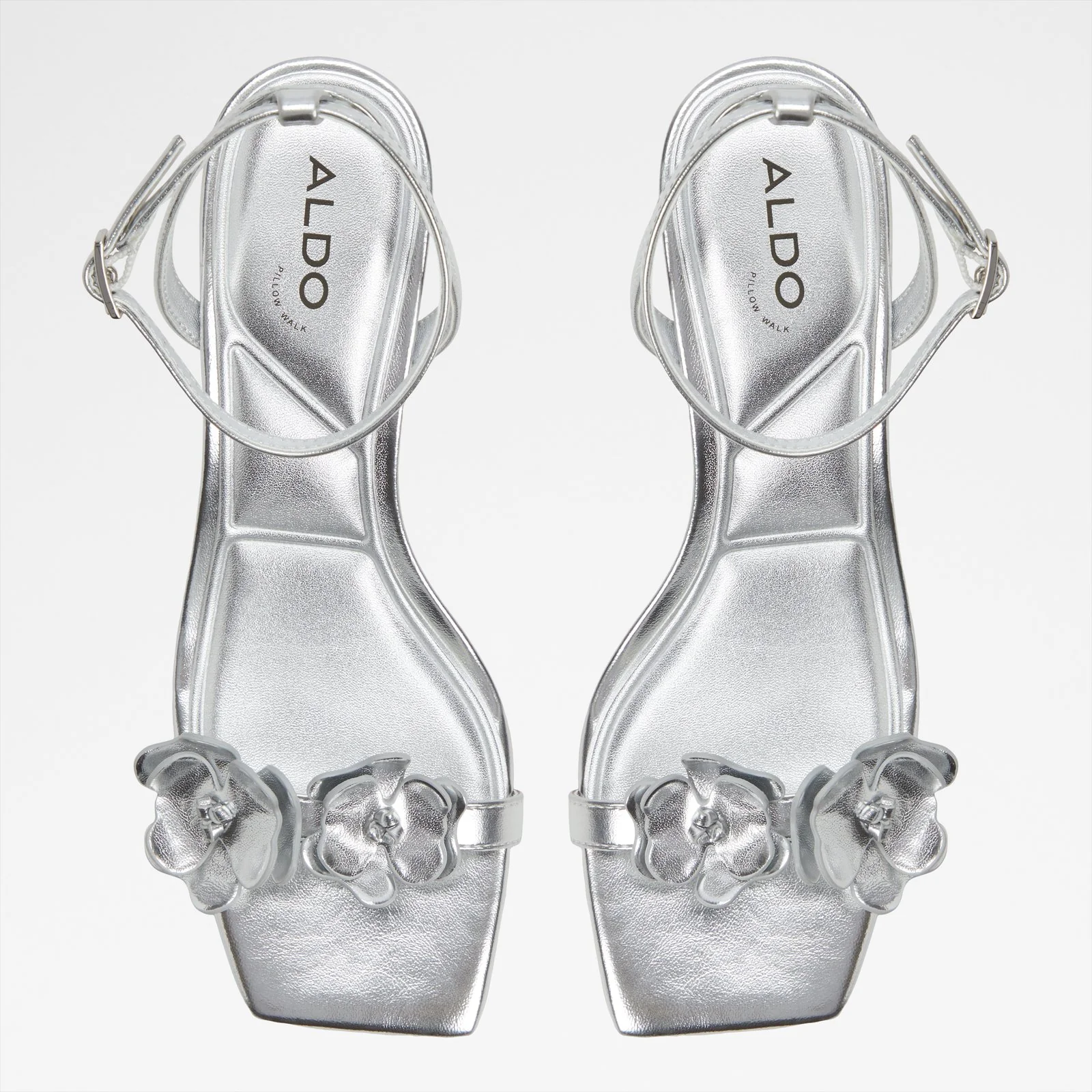 Daisyrose - Image 7