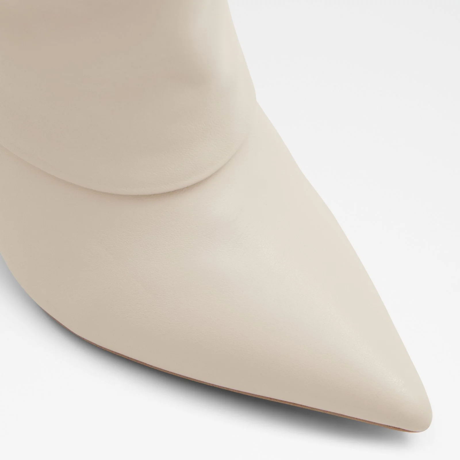 Livy - Image 6