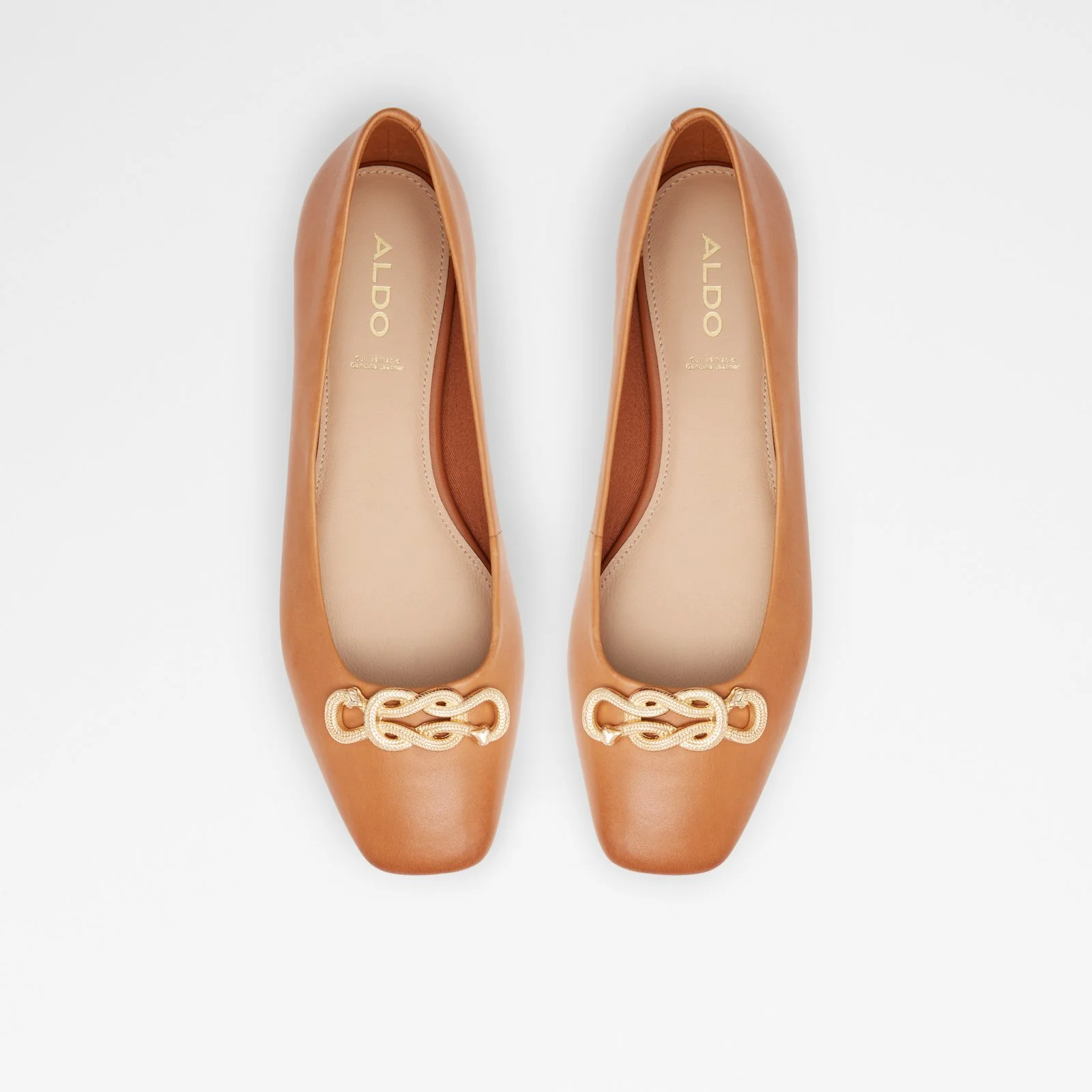Lothauvia - Image 7