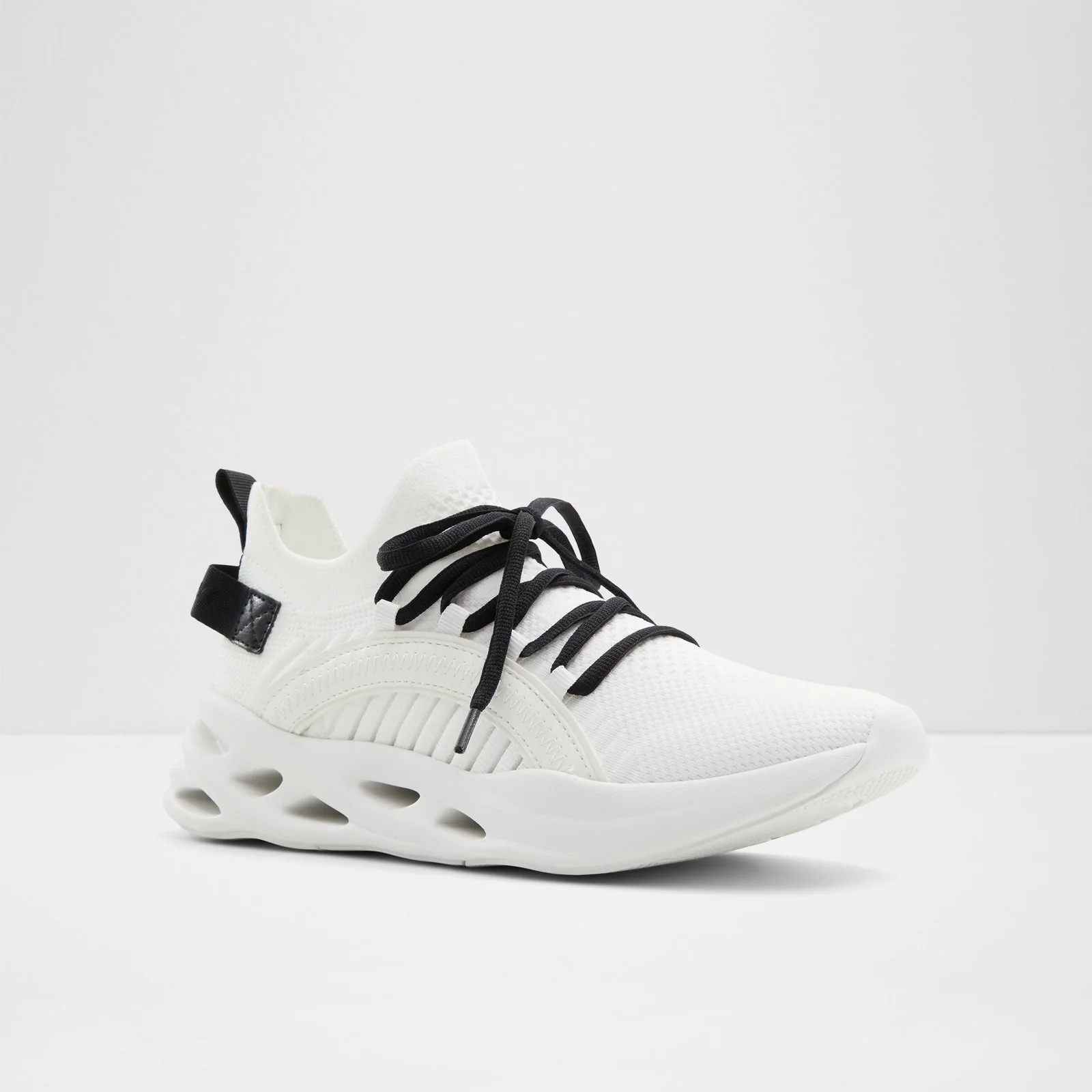 Motionxx - Image 5