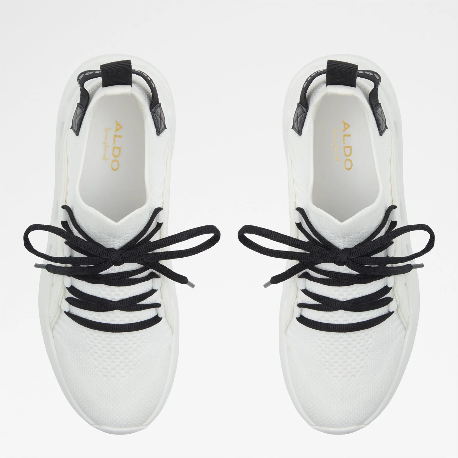 Motionxx - Image 7