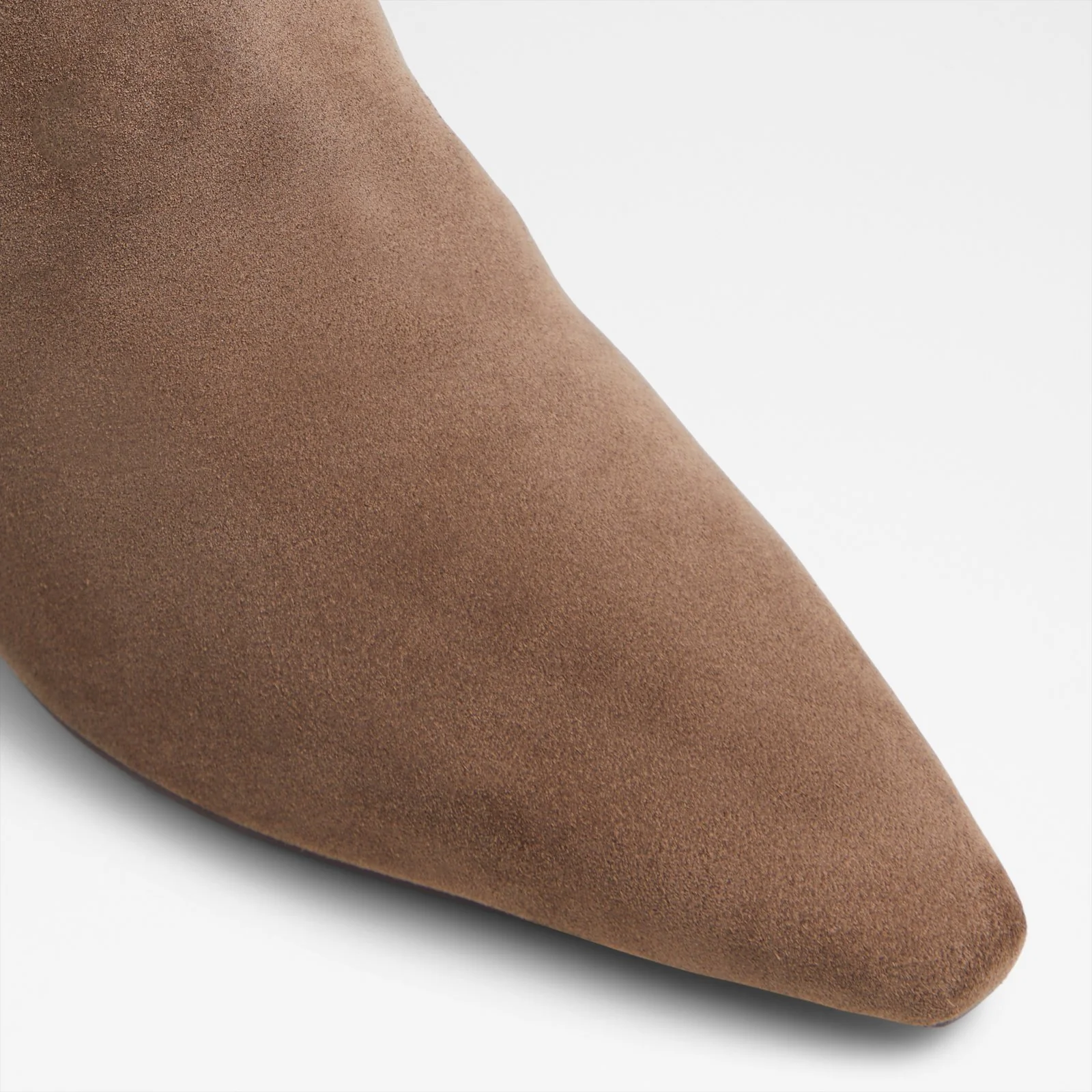 Muttsee - Image 6