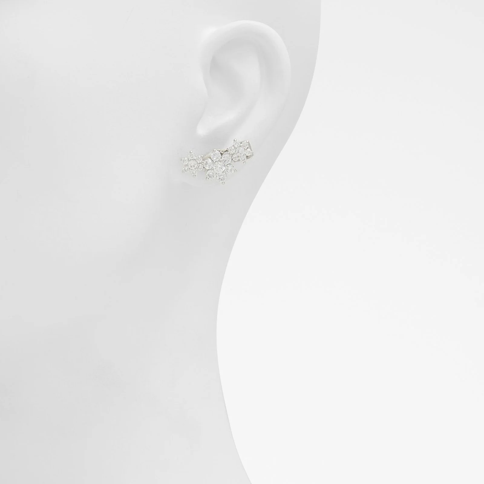 Nysius - Image 3