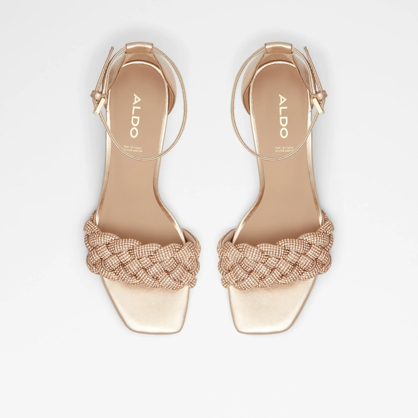 Pina - Image 7