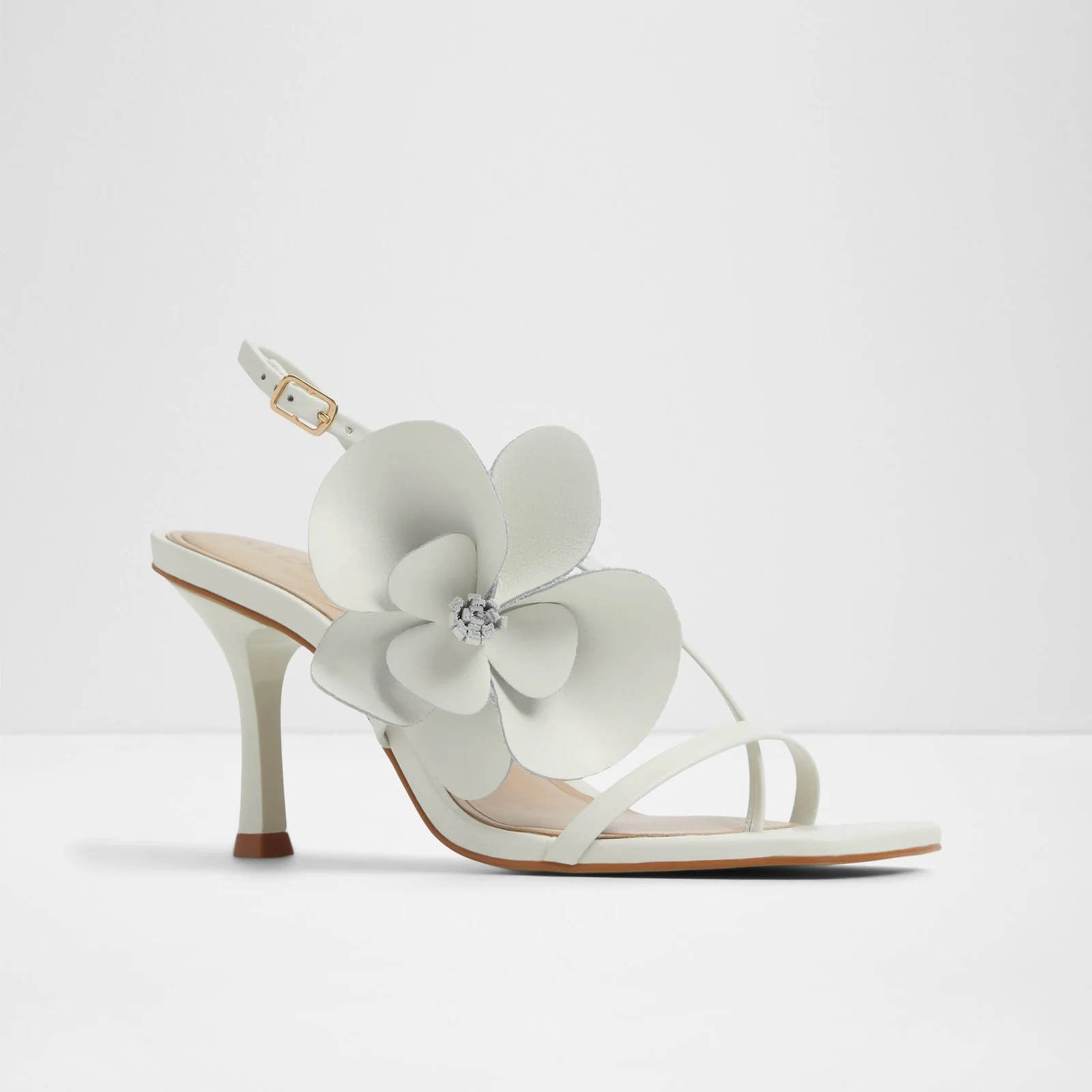Sandflower - Image 5