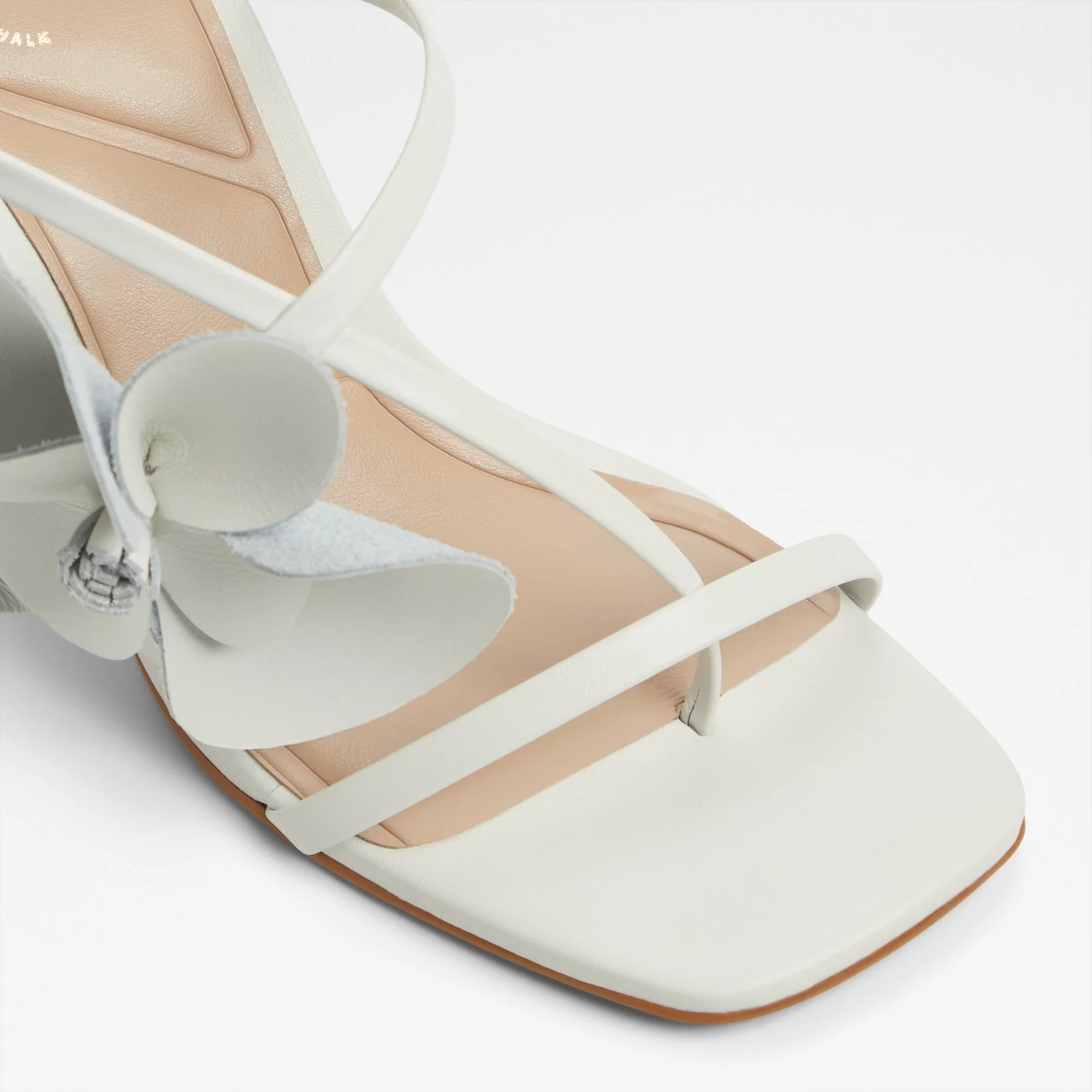 Sandflower - Image 6