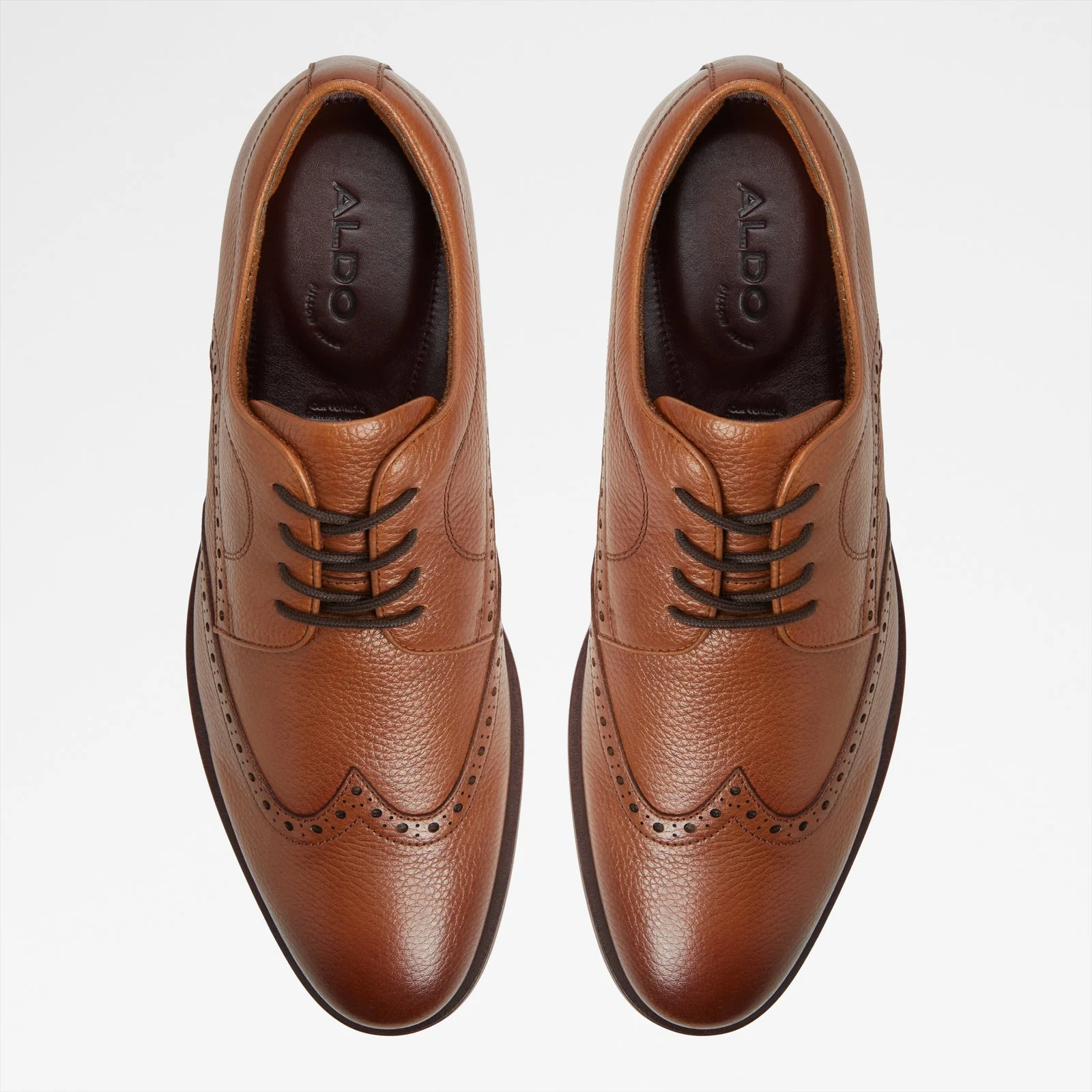 Sargasso - Image 7