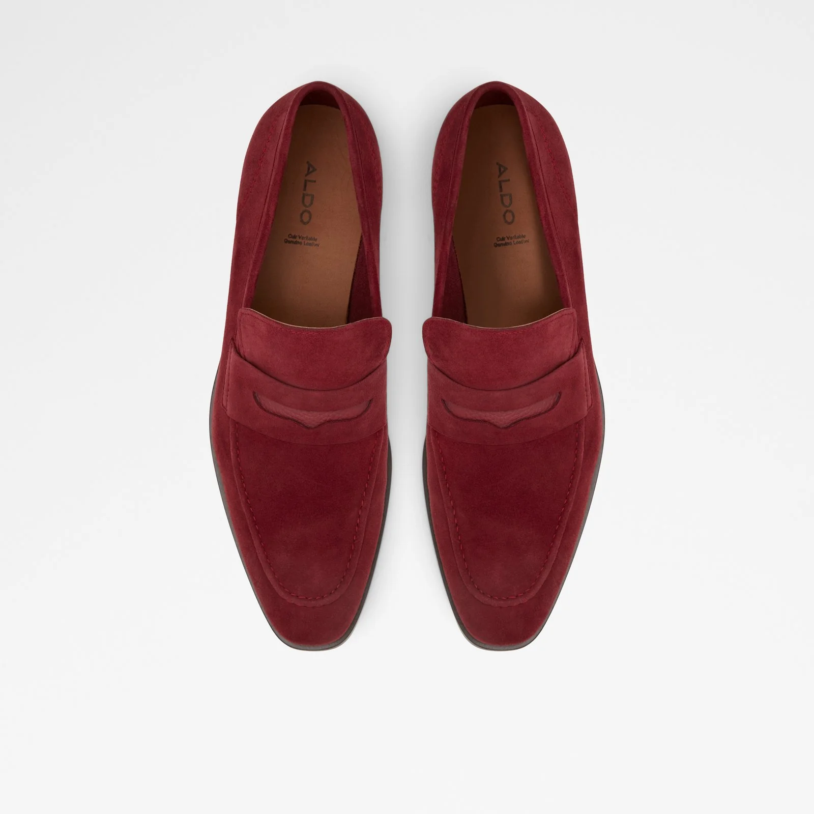 Spector - Image 7
