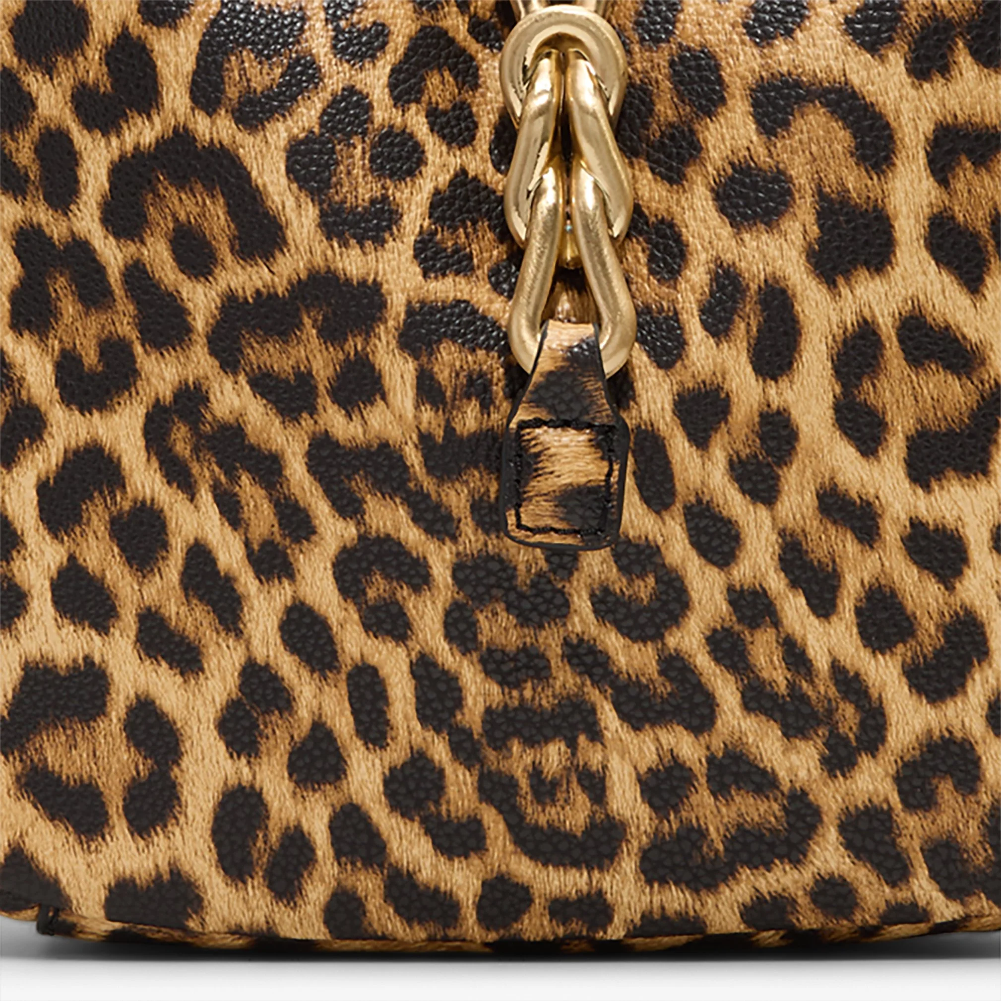 Ssoffiety - Image 6