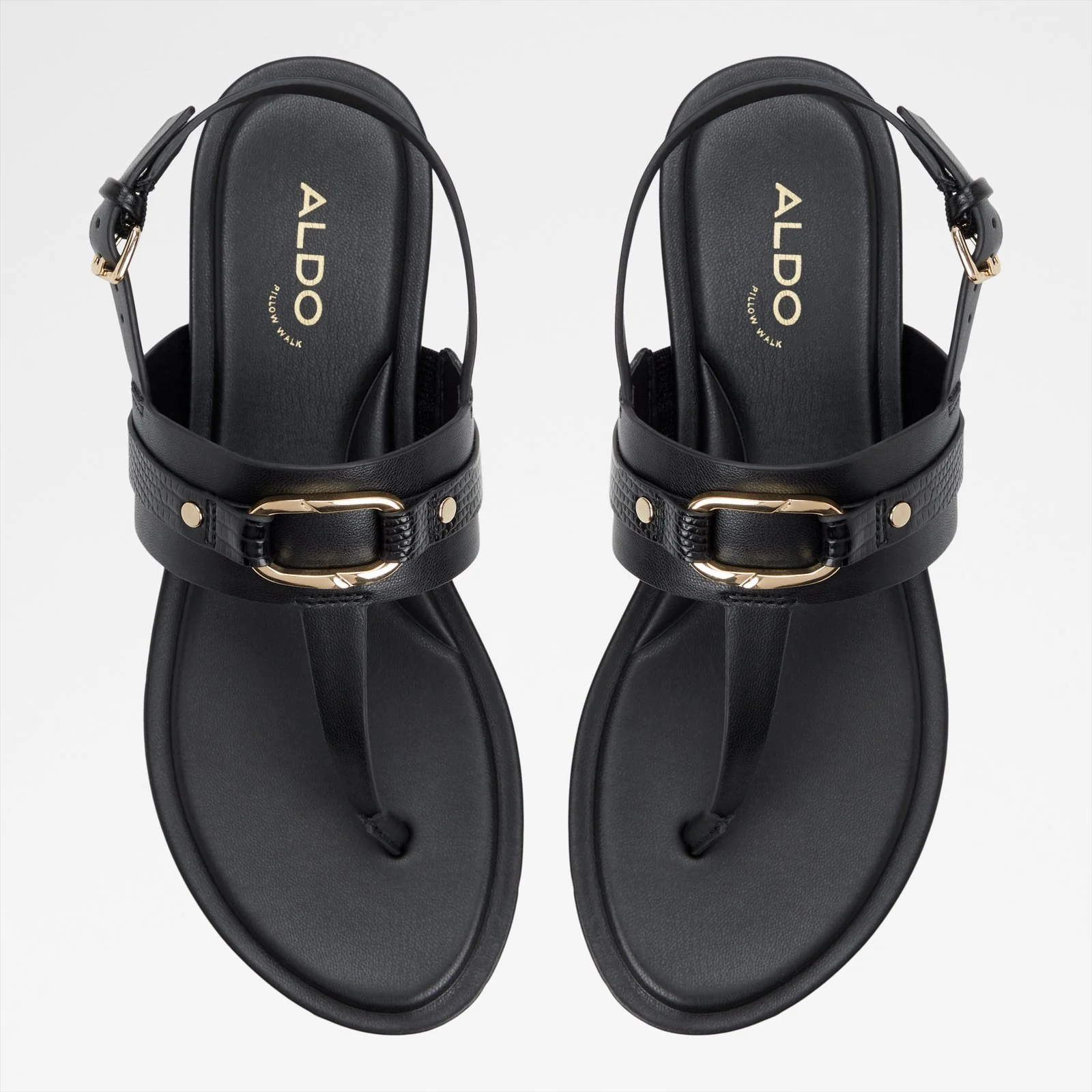 Taylen - Image 7