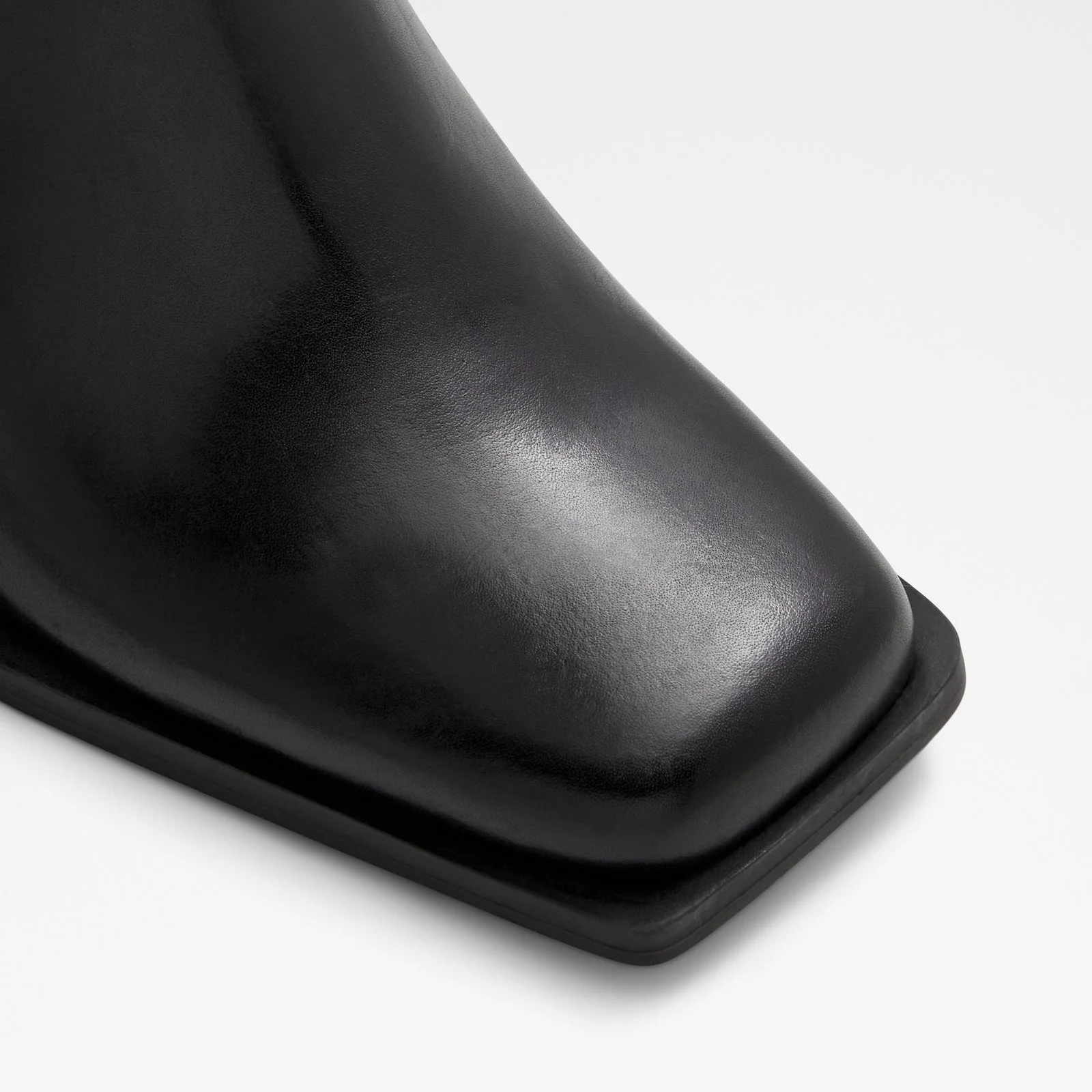 Toro - Image 6