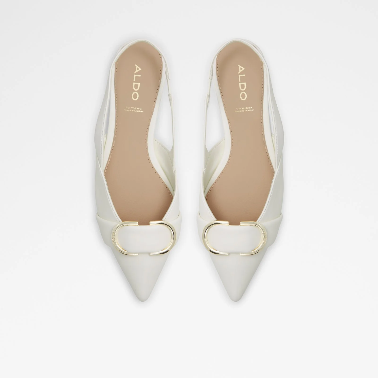 Tozi - Image 7