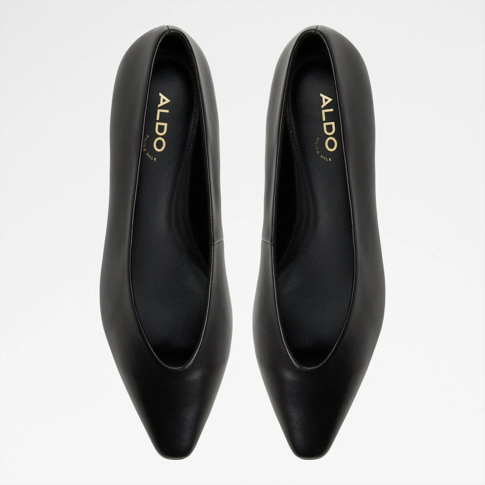 Zolita - Image 7